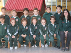 5 años D